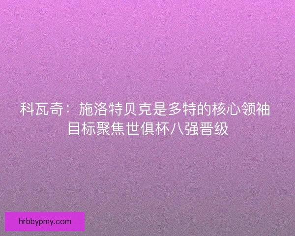 科瓦奇：施洛特贝克是多特的核心领袖 目标聚焦世俱杯八强晋级
